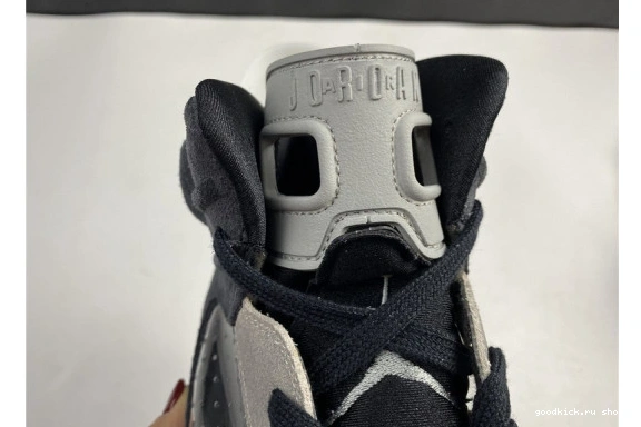 Jordan 6 WMNS “Tech Air Jordan-6 Chrome 0303